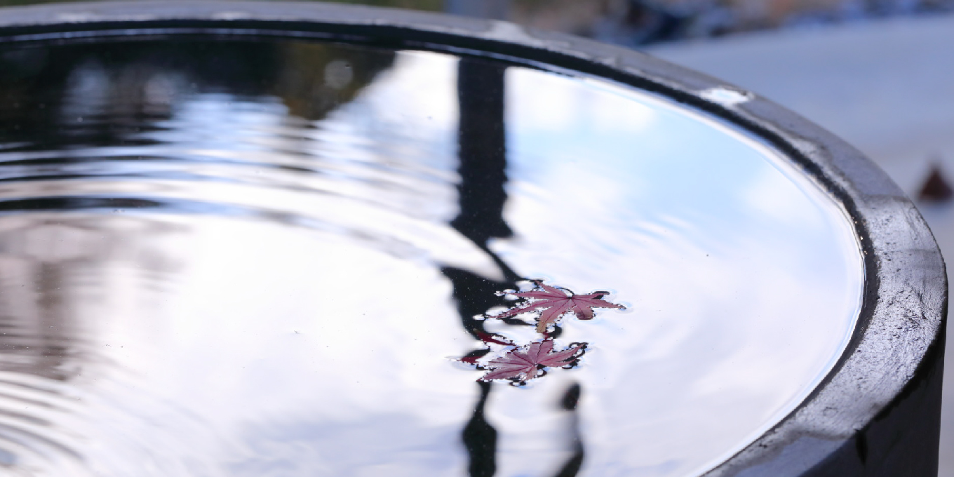 水鉢にいっぱいの水が入っており、水面に2枚の紅葉が浮かんでいる写真